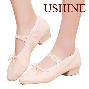 USHINE Profesionální Balet Taneční Boty pro Ženy, Dívky, Děti, Nízký Podpatek Taneční Boty Plátno Učitel Boty Pro Tanec Třídy